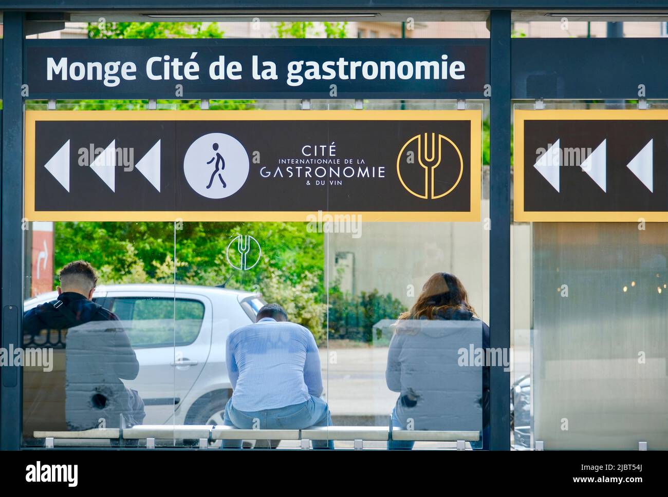 France, Cote d'Or, Dijon, area listed as World Heritage by UNESCO