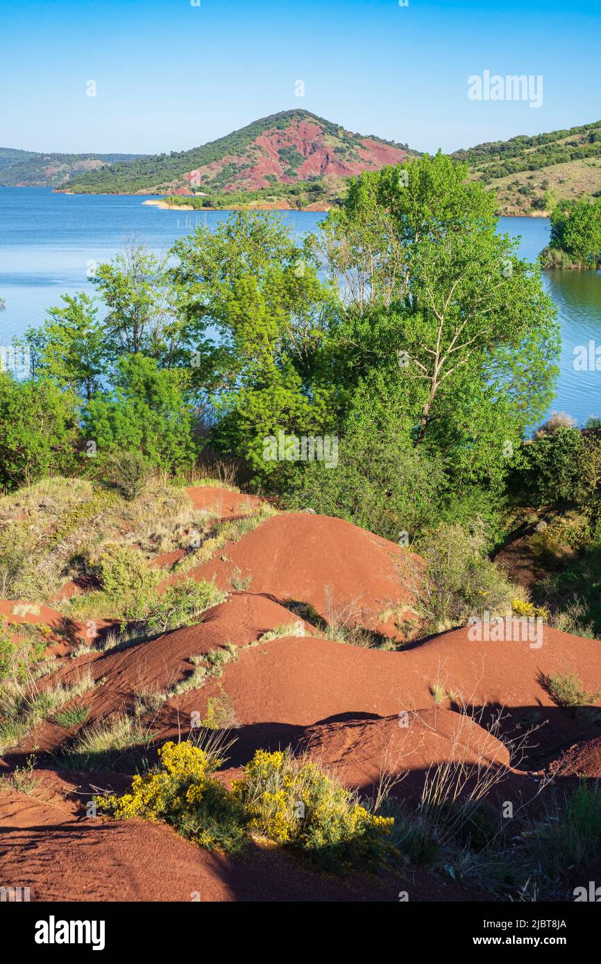 France, Herault, Salagou lake, the ruffes or red soils border the lake Stock Photo