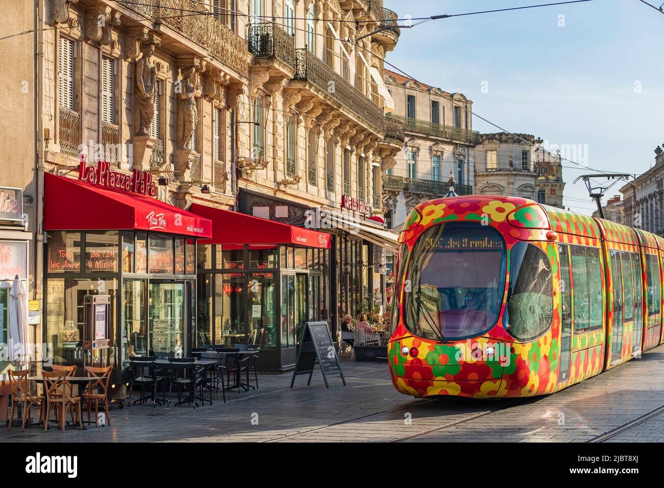 France, Herault, Montpellier, historic centre, tramway on Comedie square Stock Photo