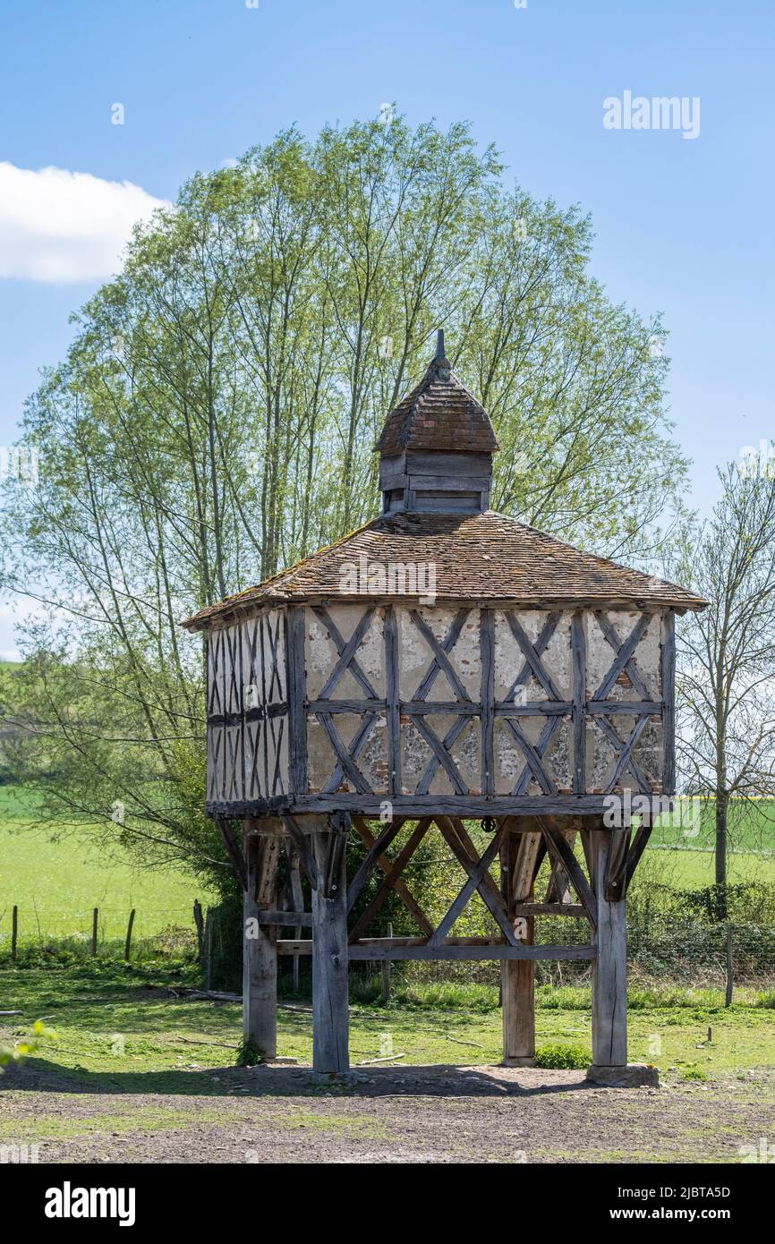France, Puy de Dome, Villeneuve les Cerfs, half-timbered dovecote typical of the plain of La Limagne dated 1472 Stock Photo