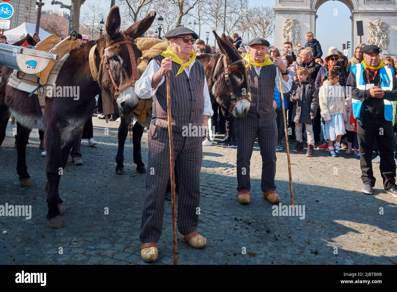 France, Paris, Folies Bearnaises, Transhumances on the Champs Elysees, great parade at the end of the International Agricultural Show, breeders and their donkeys Stock Photo