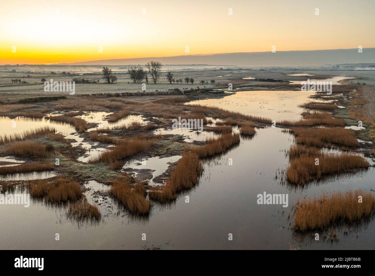 France, Somme, Noyelles-sur-mer, Morning frost on the polders between Noyelles and Saint-Valery-sur-Somme Stock Photo