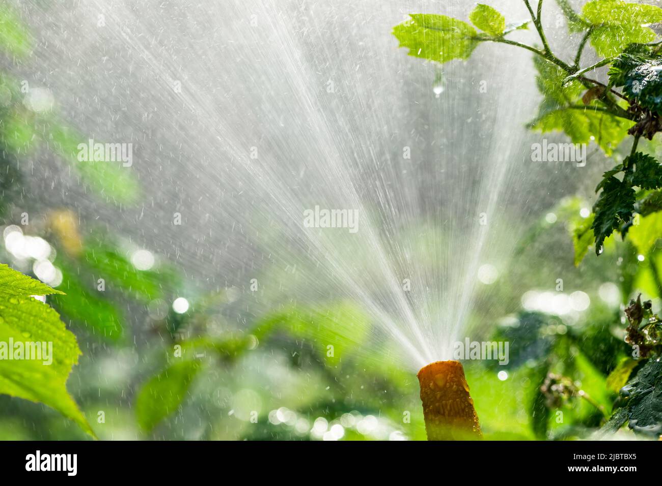 Irrigation sprinkler spaying water irrigating summer garden Stock Photo