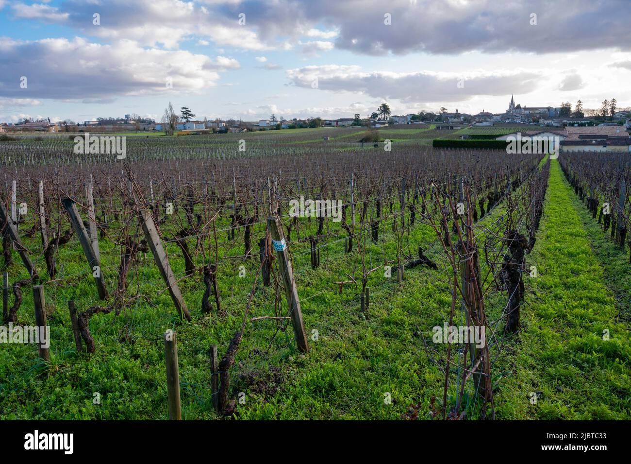 France, Gironde (33), Saint-Émilion, listed as World Heritage by UNESCO, Chateau Cadet-Bon, listed as Premier Grand cru classé, the vineyards and the village of Saint Emilion Stock Photo
