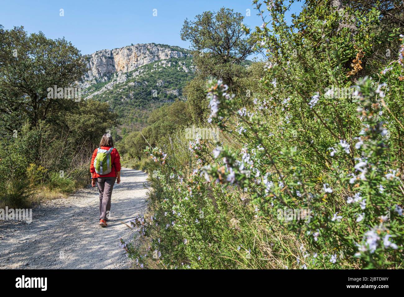 France, Vaucluse, Luberon Regional Natural Park, Mirabeau, hike along the Durance river Stock Photo