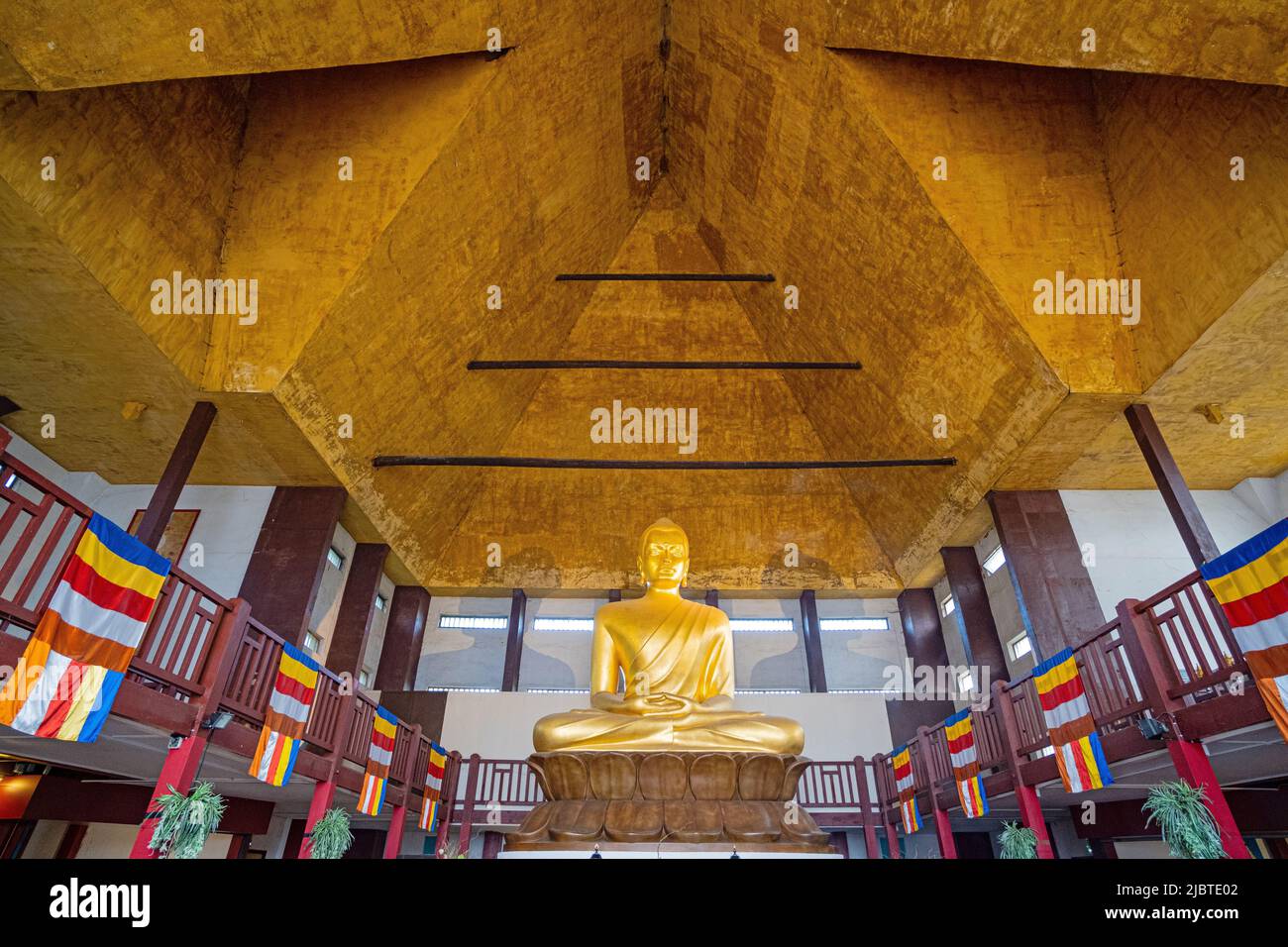 France, Paris, Bois de Vincennes, Buddha inside the Great Pagoda Stock Photo