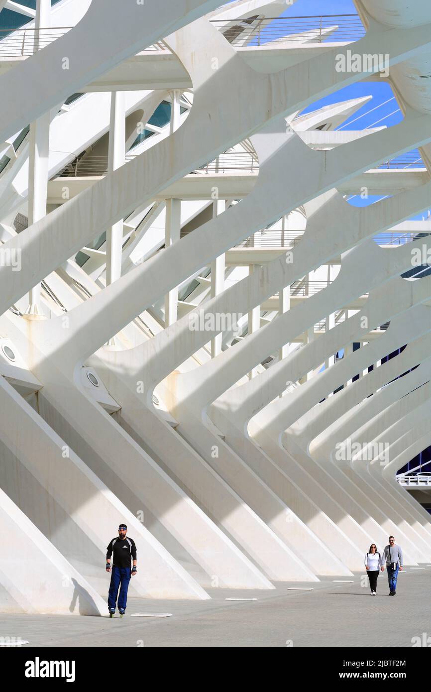 Spain, Valencia, City of Arts and Sciences (Ciudad de las Artes y las Ciencias), cultural complex designed by architect Santiago Calatrava, view of the Príncipe Felipe Science Museum (natural science museum) Stock Photo