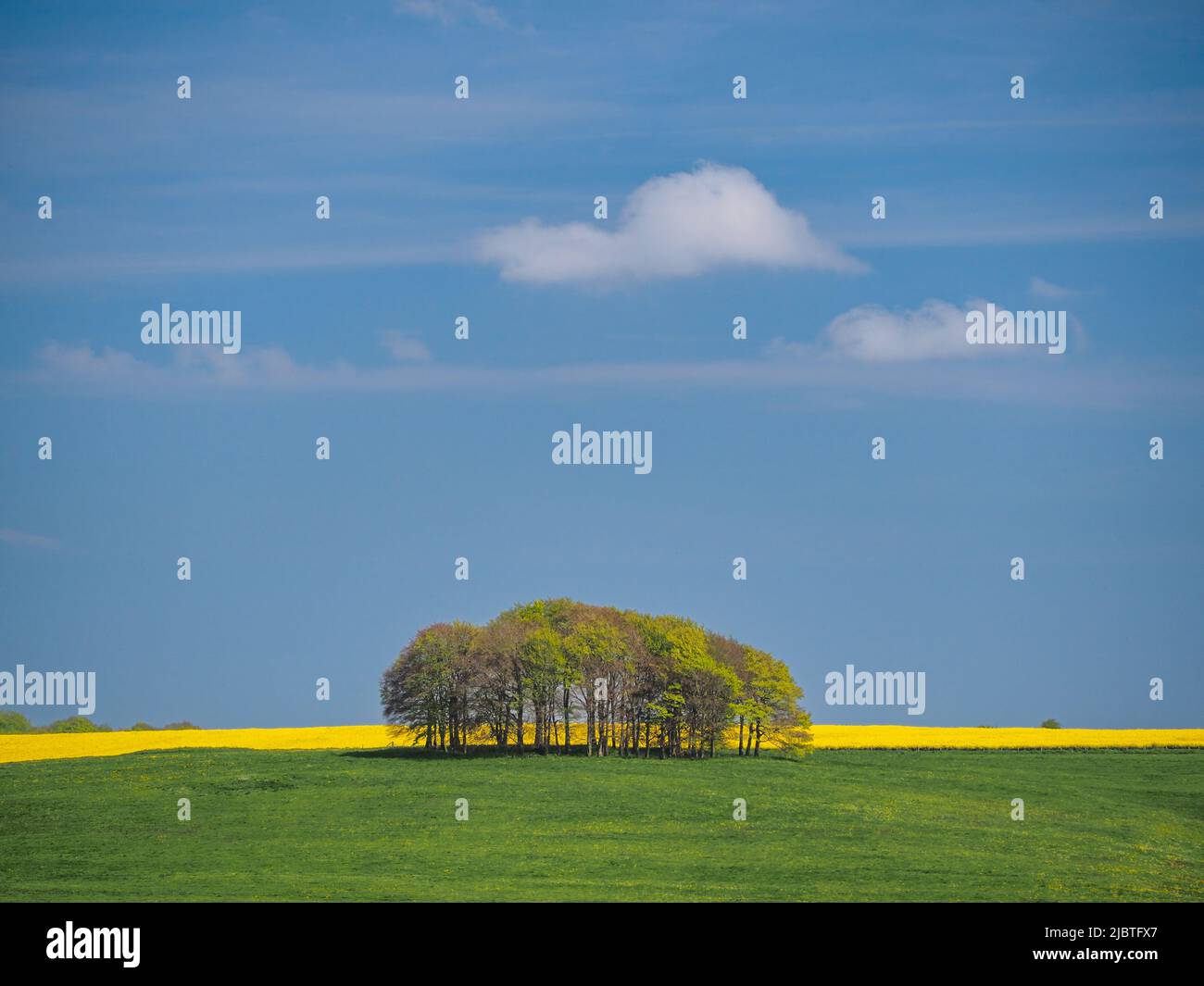 Springtime view of green fields, trees and yellow rapeseed, Avebury, Wiltshire Stock Photo