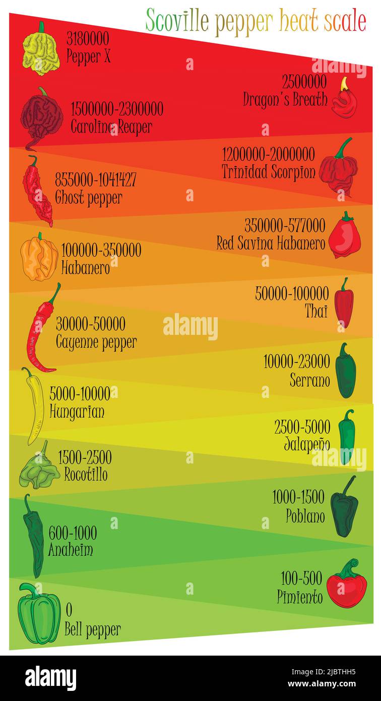 Scoville pepper heat scale. Pepper illustration from sweetest to very hot. Color and outlines peppers. Stock Vector