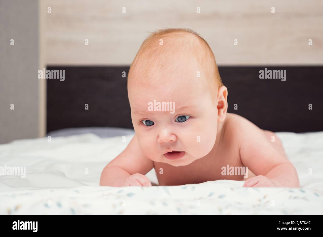 Cute baby girl raises up head lying on bed Stock Photo Alamy