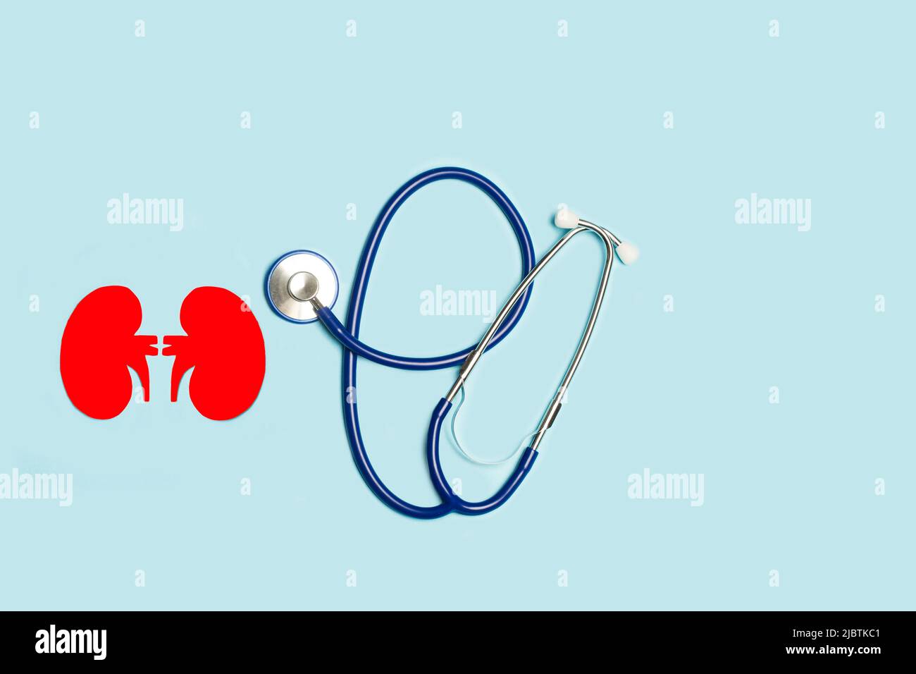 A stethoscope and two red paper kidneys shape on a light blue background in a top view Stock Photo