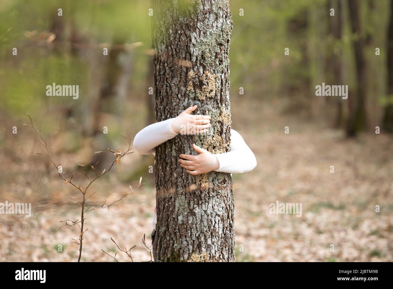 Arms embracing tree concept human hi-res stock photography and images ...