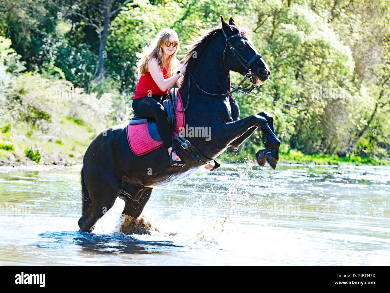 riding girl are training her black horse in a river Stock Photo