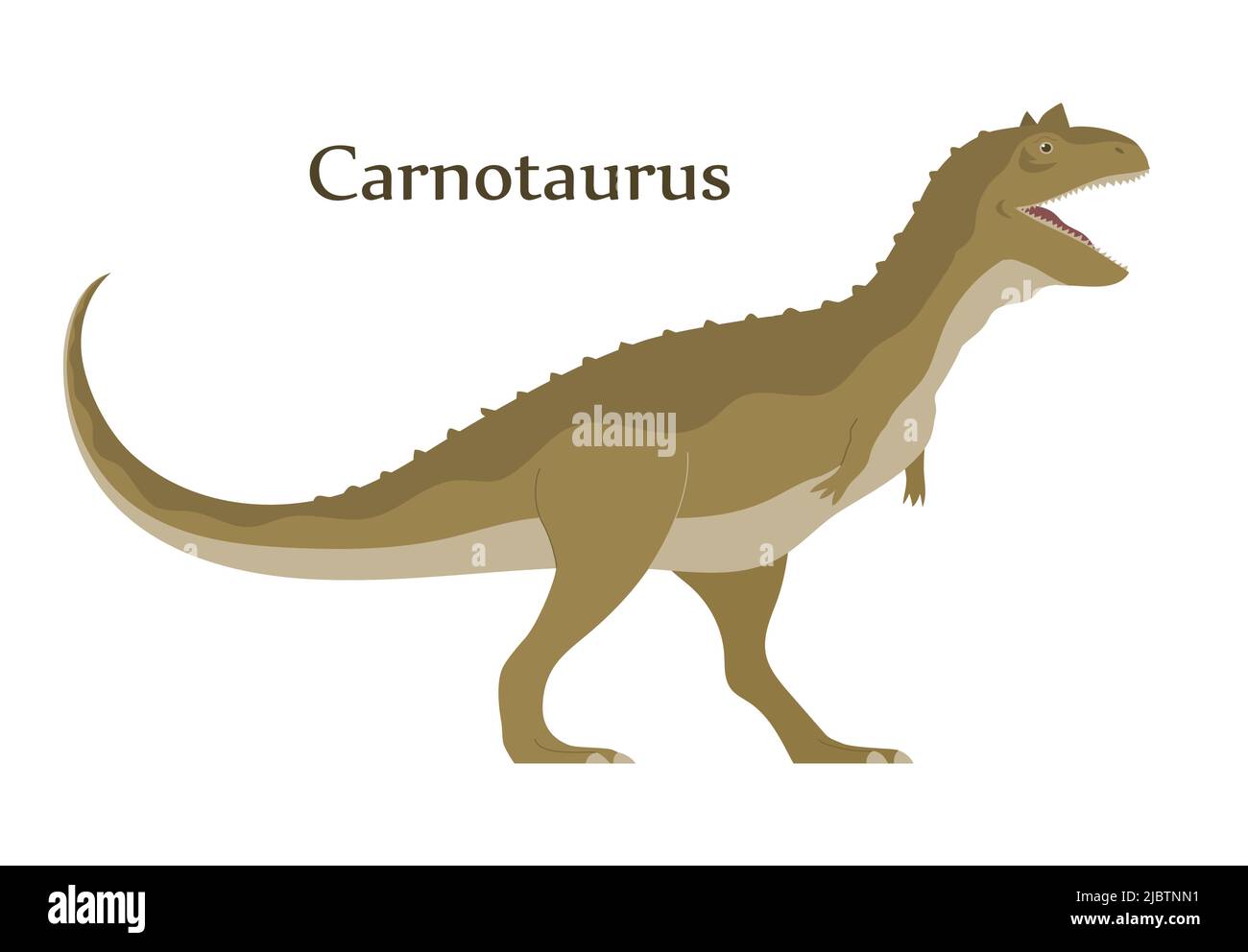 Ancient scary pangolin carnotaurus. Predatory dinosaur hunter of the  Jurassic period. Prehistoric animal. Vector cartoon illustration isolated  on a wh Stock Vector Image & Art - Alamy