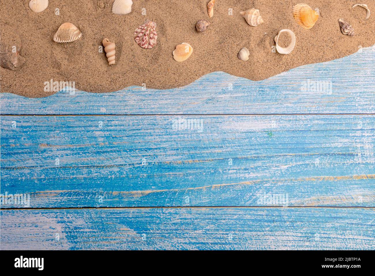 Seashells on the sand on a blue background. Summer vacation, beach, relaxation, sea, ocean, travel concept. Stock Photo