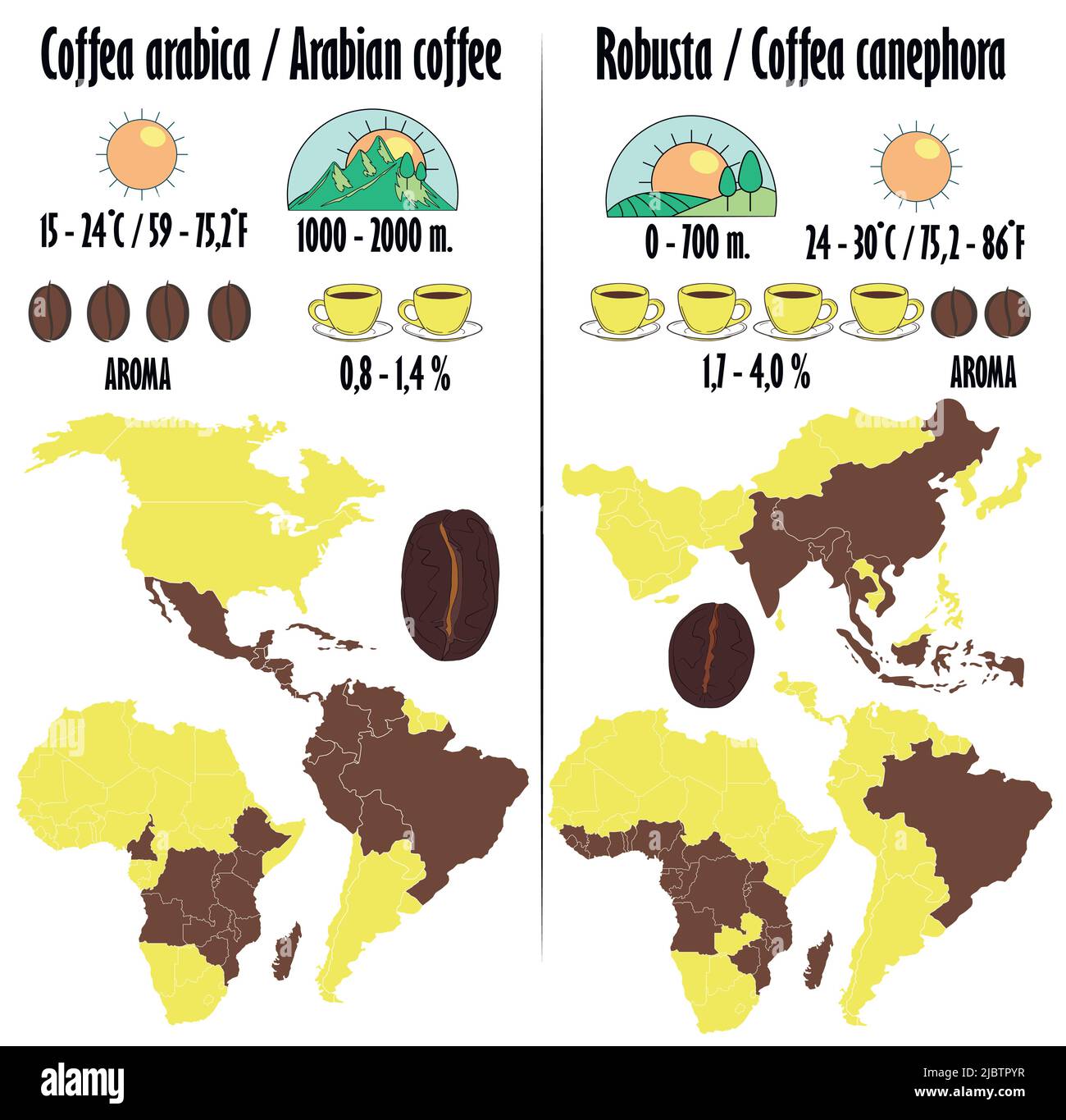 Arabica and robusta. Types of coffee with a description in the form of icons of growing, amount of caffeine, aroma, optimum temperature for maturation Stock Vector