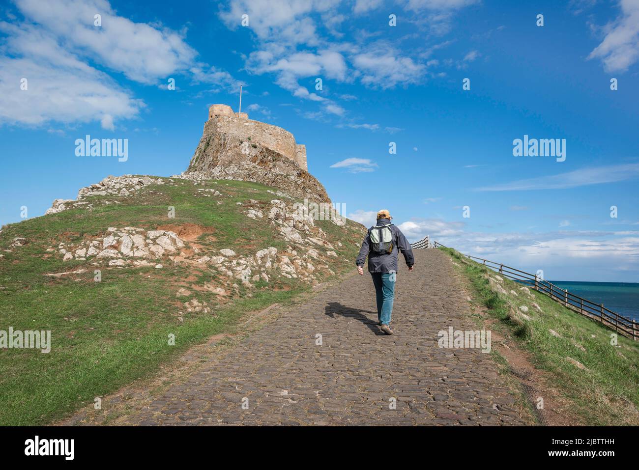 Woman female travel, rear view of a female walking purposefully towards a castle in fine weather, Holy Island, Lindisfarne, Northumberland, UK Stock Photo