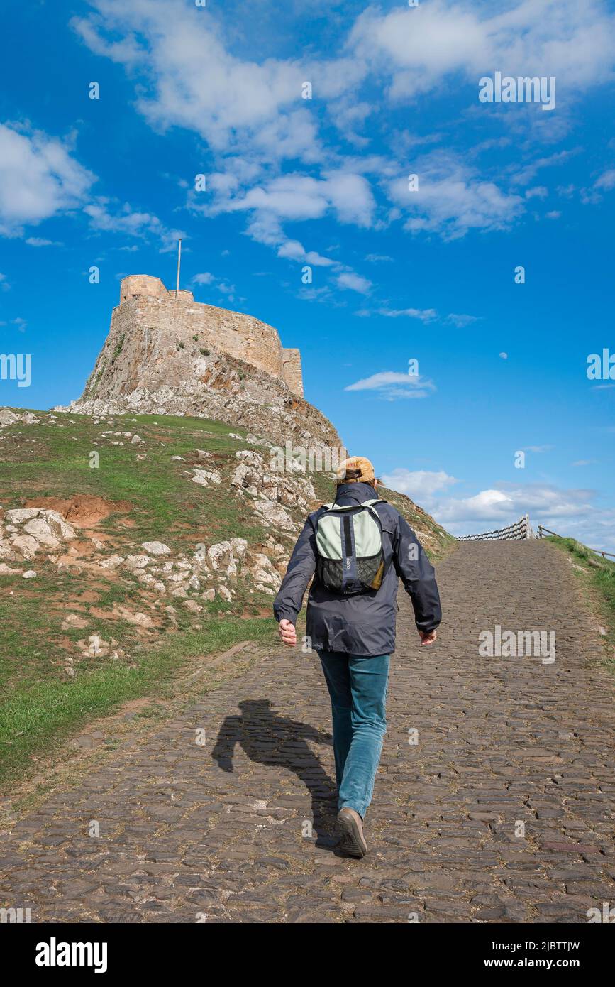 Female walking alone, rear view of a woman walking purposefully towards a castle in fine weather, Holy Island, Lindisfarne, Northumberland, UK Stock Photo