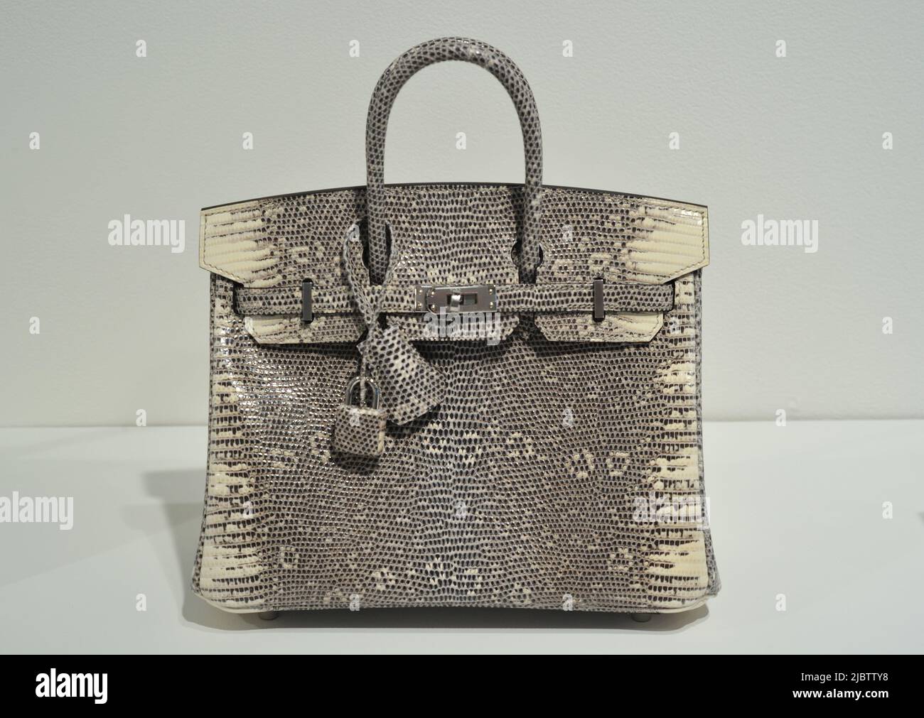 Ombre lizard online birkin