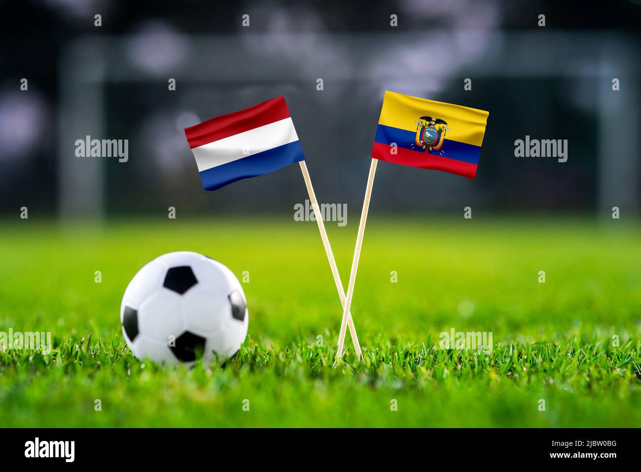 Netherlands vs. Ecuador, Khalifa Stadium, Football match wallpaper, Handmade national flags and soccer ball on green grass. Football stadium in backgr Stock Photo