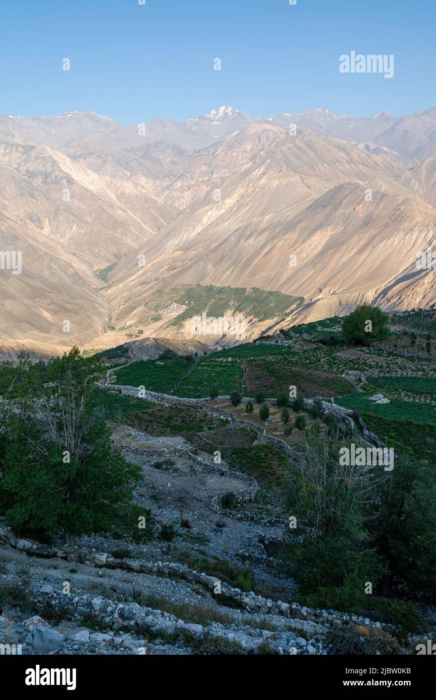 Village farmland demarcated by dry stone walls and terraced fields out towards Himalaya mountains with valley and ridges under blue sky. Nako, India. Stock Photo