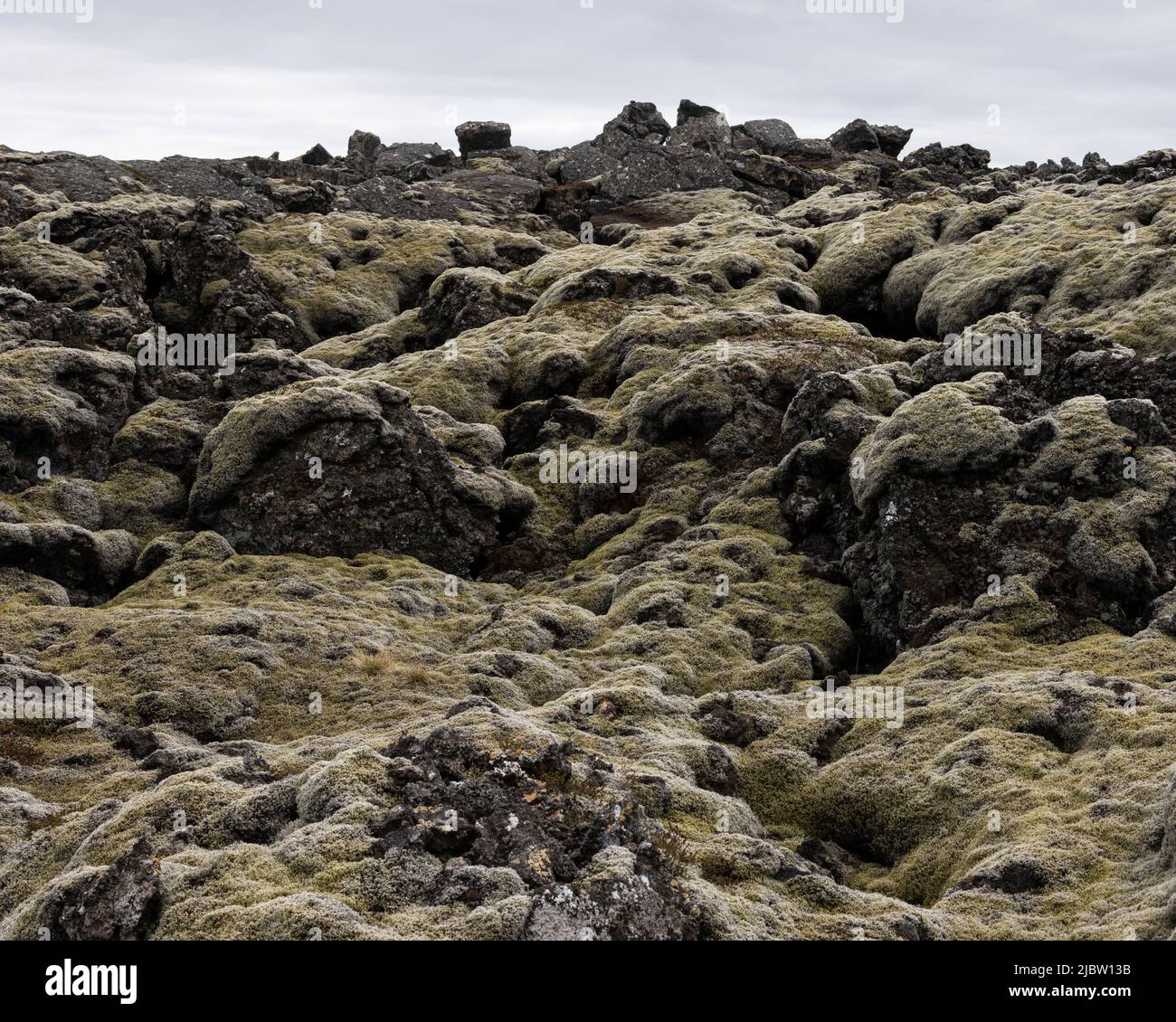 Eldhraun lava field covered in moss Iceland Stock Photo
