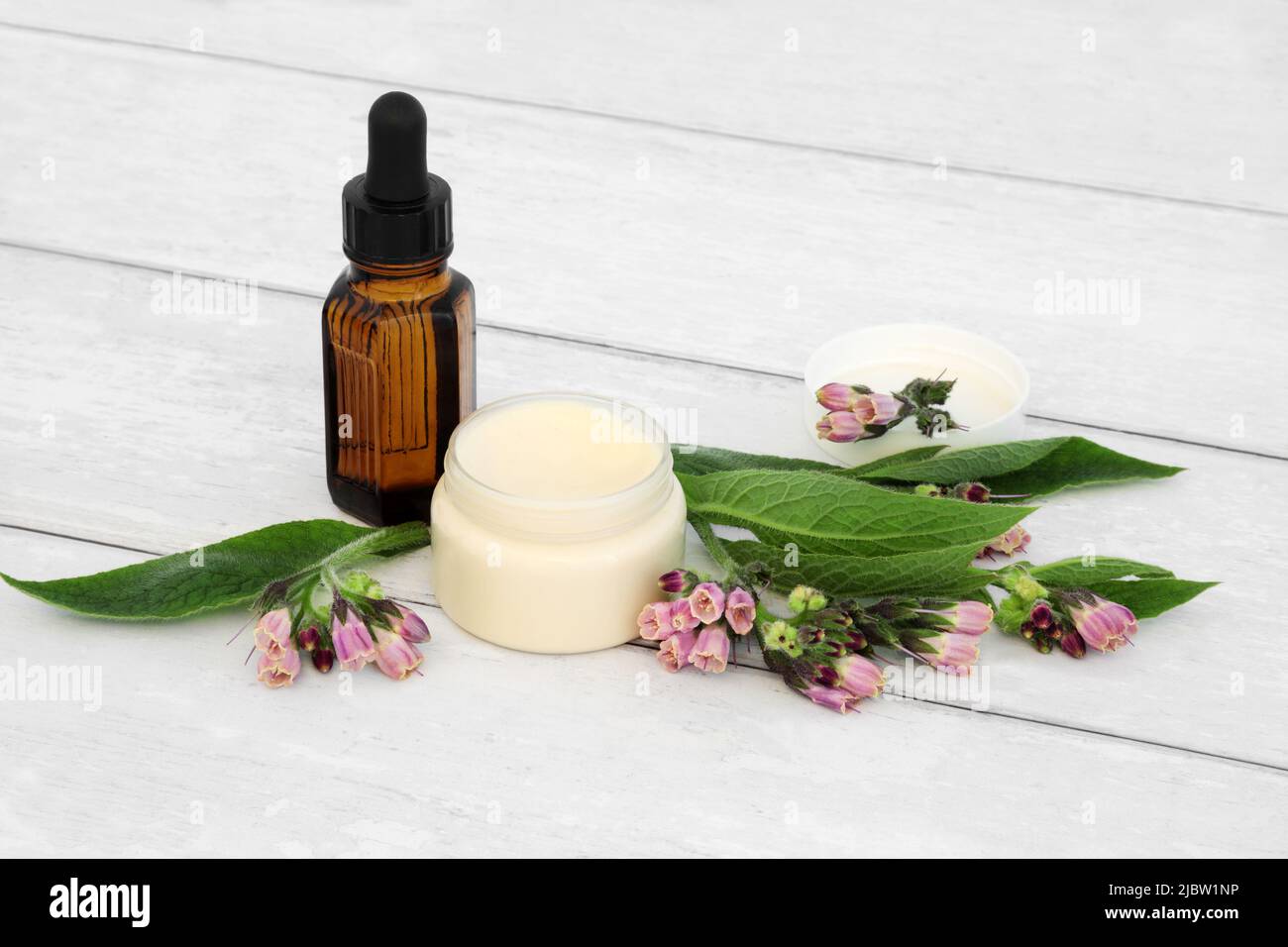 Comfrey herb ointment used in herbal plant medicine to treat skin