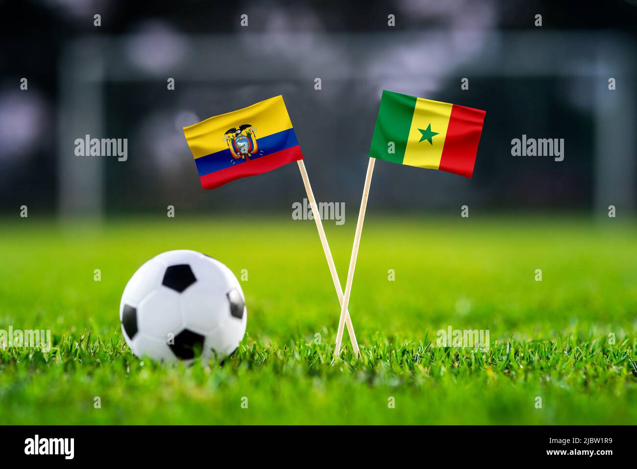 Ecuador vs. Senegal, Khalifa Stadium, Football match wallpaper, Handmade national flags and soccer ball on green grass. Football stadium in background Stock Photo