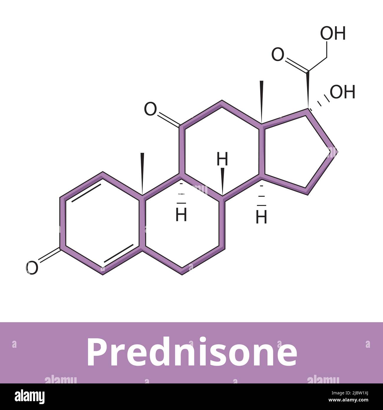 Chemical structure of prednisone. Prednisone is a corticosteroid medicine used to decrease inflammation and keep immune system in check Stock Vector