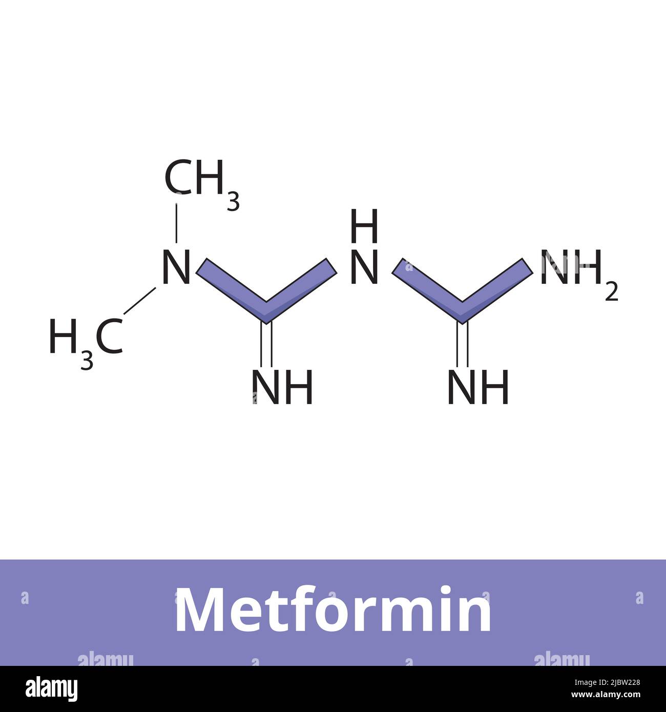 Chemical structure of metformin. Metformin is the main first-line medication for the treatment of type 2 diabetes Stock Vector