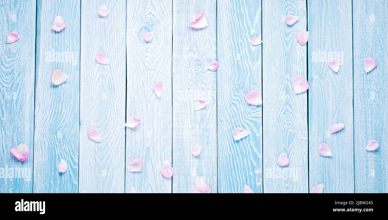 Blue rose petals hi-res stock photography and images - Alamy