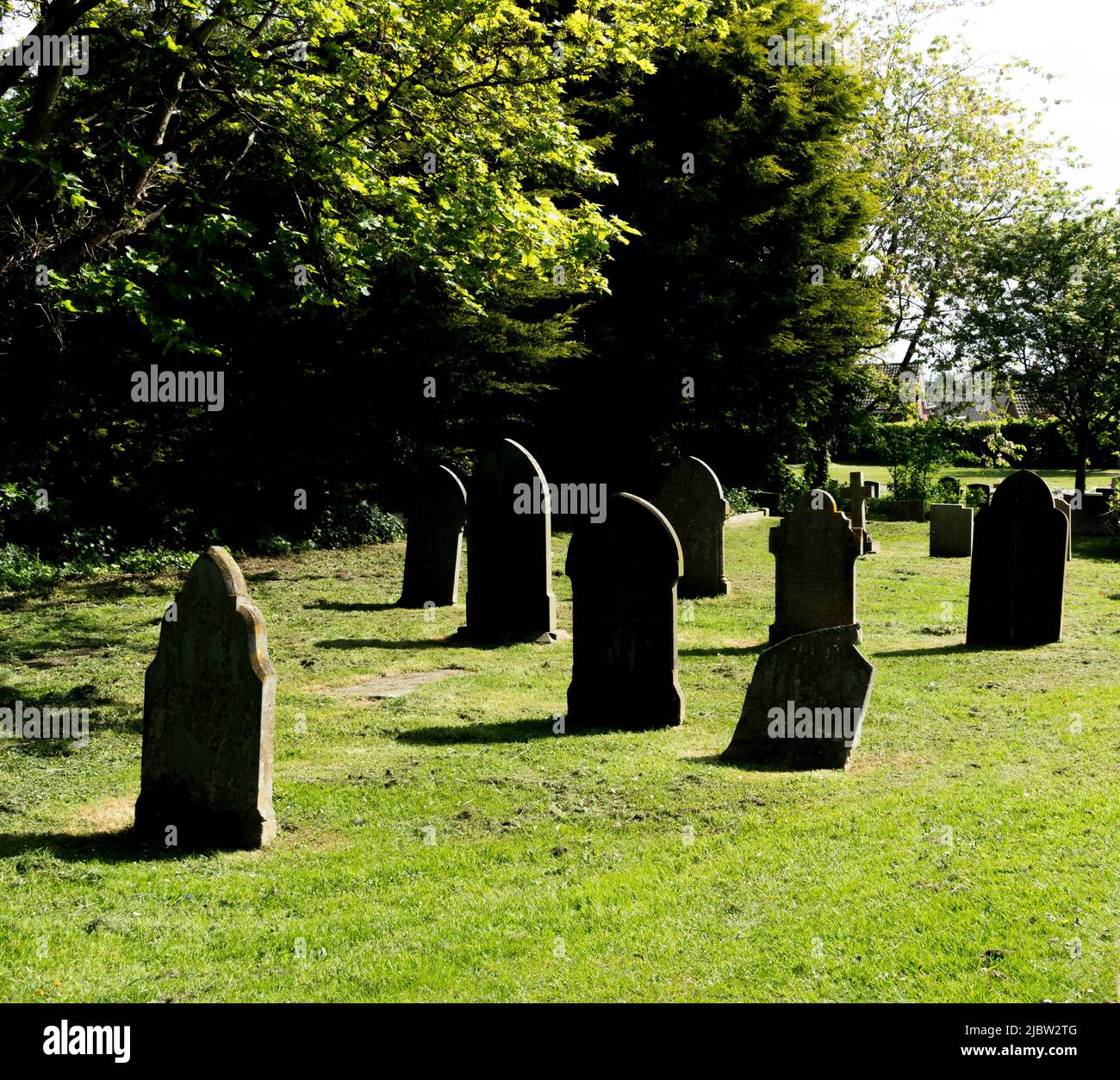 Grave headstones in shadow in bright sunlight Stock Photo