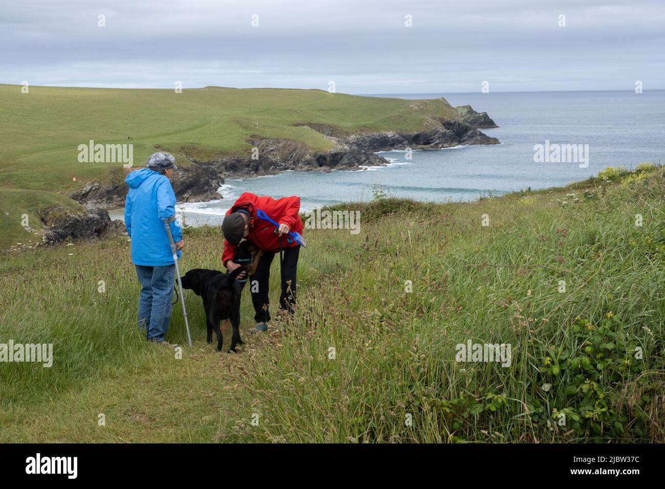 Elderly couple walking their dogs in the rough grasses and flowers above Poly Joke at West Pentire, Cornwall. Great view of the sea and cliffs Stock Photo
