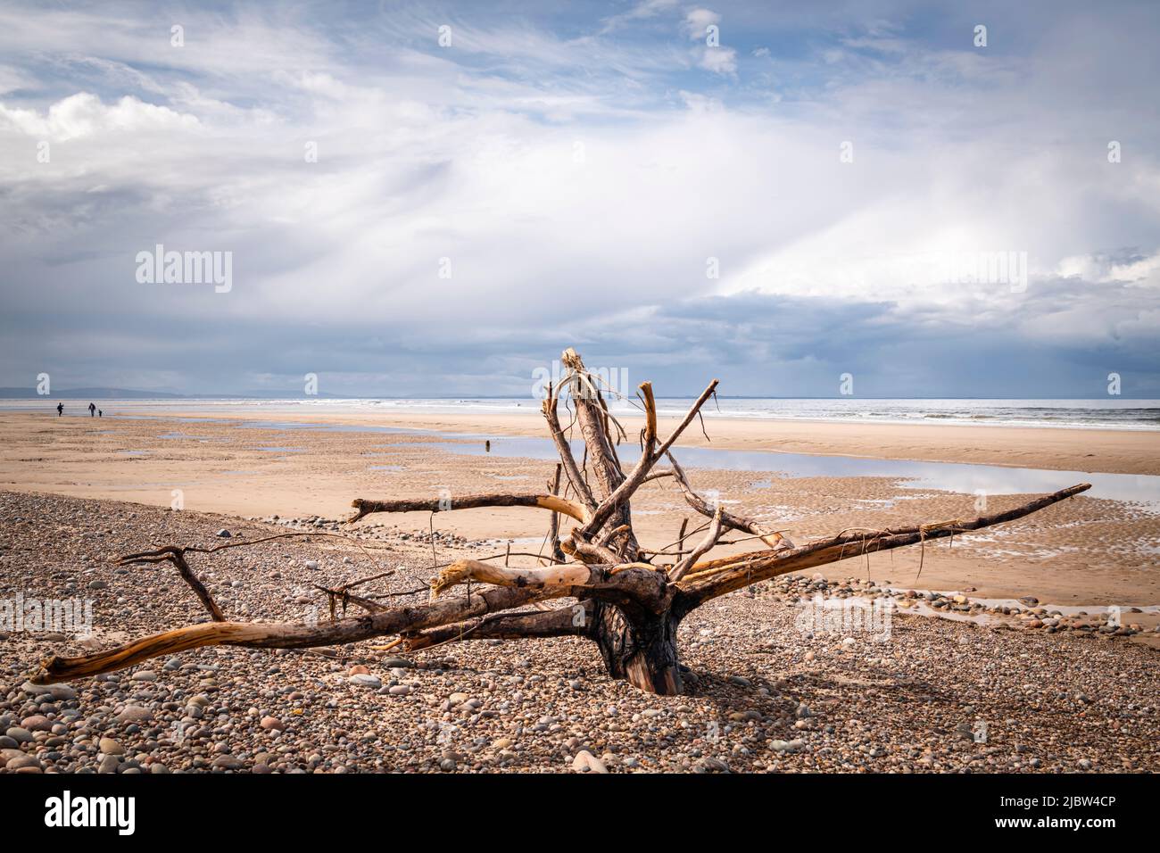 A summer HDR seascape of driftwood on the beach at Findhorn, Moray, Scotland. 30 May 2022 Stock Photo