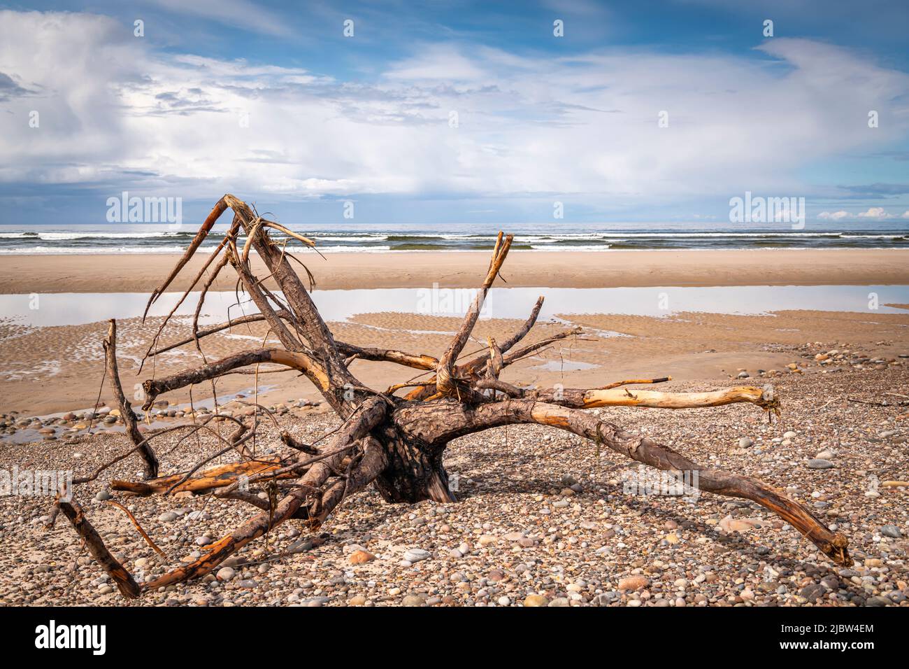 A summer HDR seascape of driftwood on the beach at Findhorn, Moray, Scotland. 30 May 2022 Stock Photo