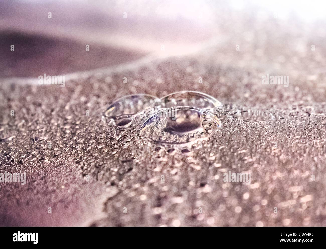 Bubbles made from water, dish liquid, oil, and food coloring creating a