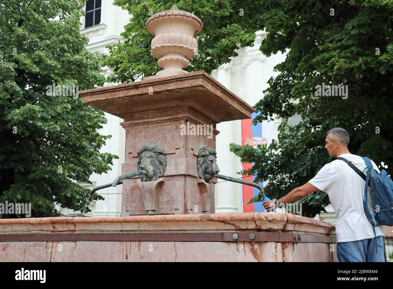 Four Lions Fountain at Sremski Karlovci in the Autonomous Region of Serbia Stock Photo