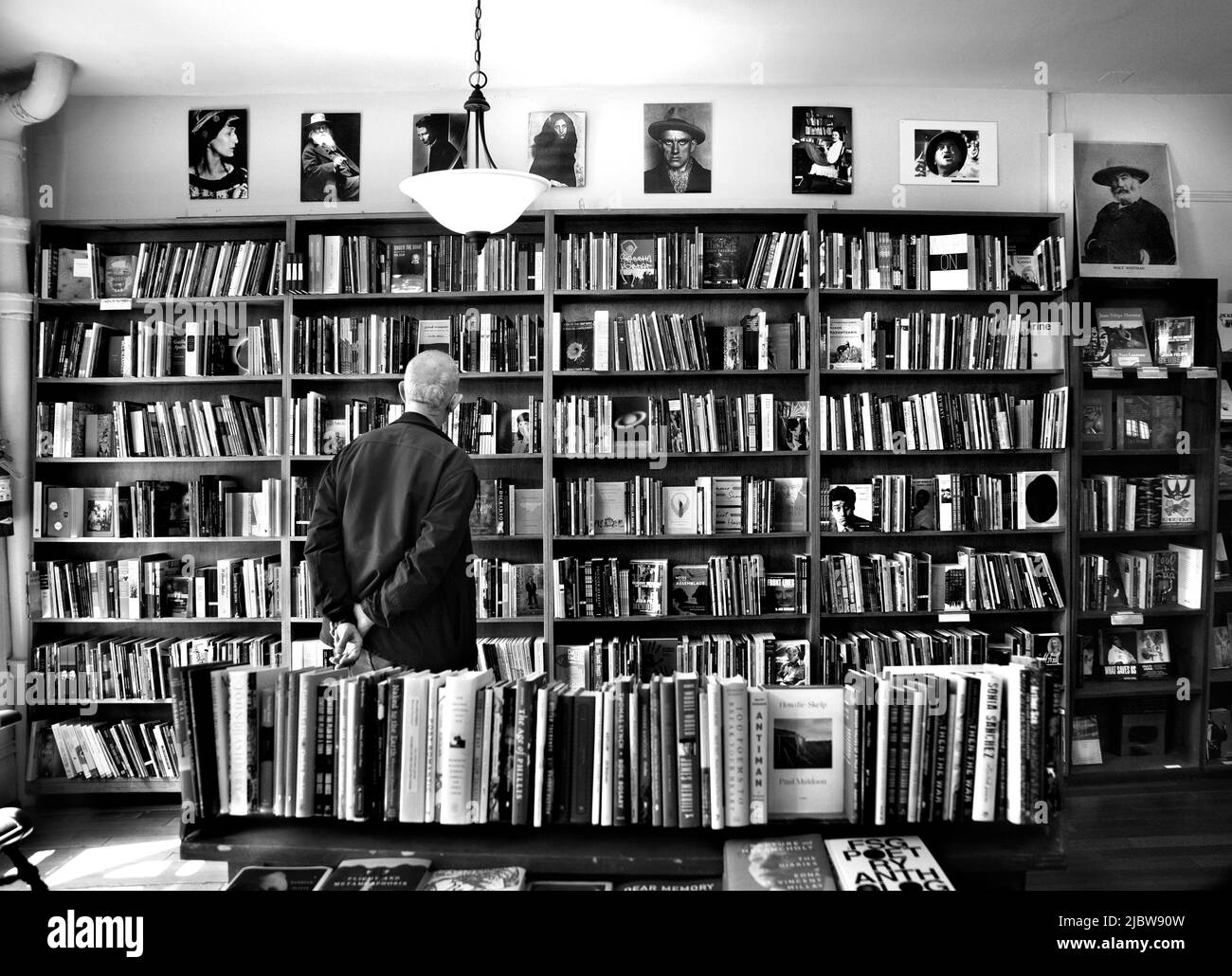 A customer peruses the large selection of books for sale at the landmark City Lights Booksellers shop in San Francisco, California. Stock Photo