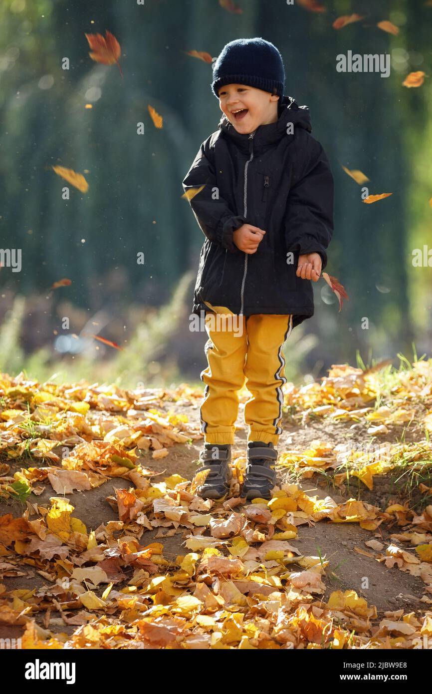 Adorable child boy with leaves in autumn park. The concept of childhood, family and kid. Stock Photo