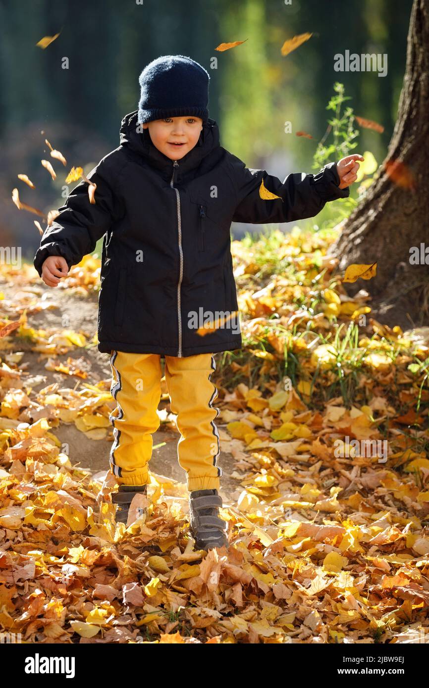 Happy adorable child boy with leaves in autumn park. The concept of childhood, family and kid. Happy childhood. Stock Photo