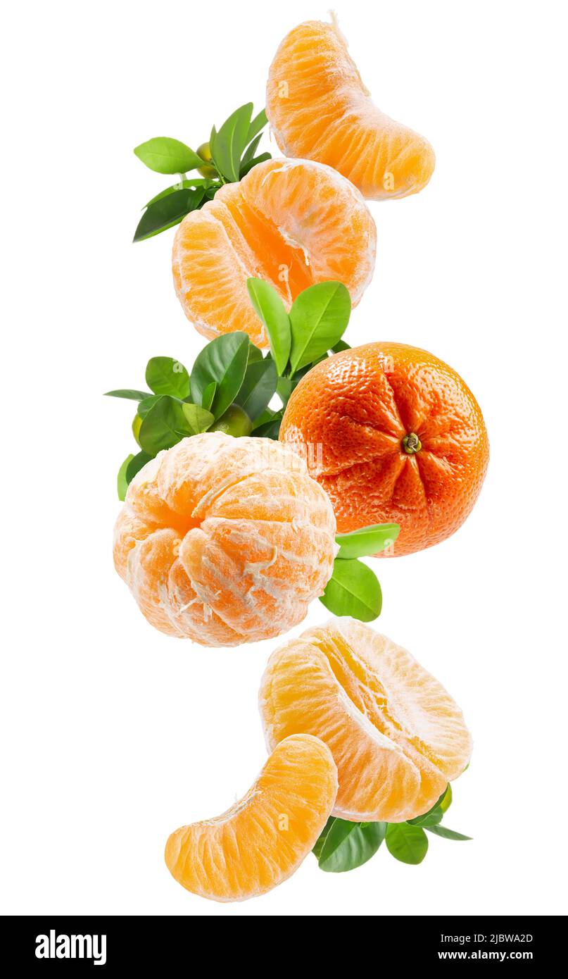 falling tangerines with green leaves with clipping path isolated on a white background. Stock Photo
