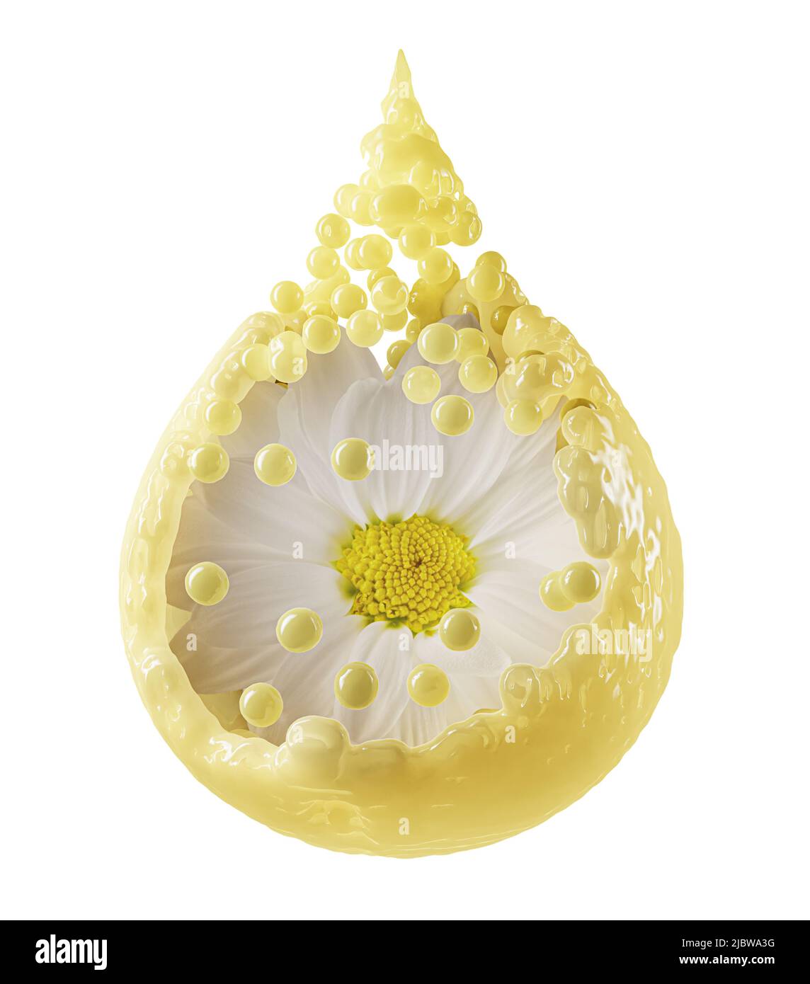 chamomile in oil splashing in the shape of drop with clipping path on a white background. 3d rendering. Stock Photo