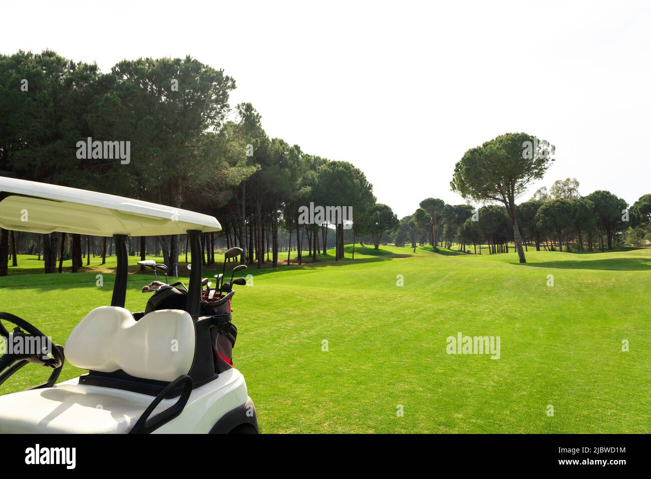 Set of golf clubs in golf bags in the back of a golf cart on a