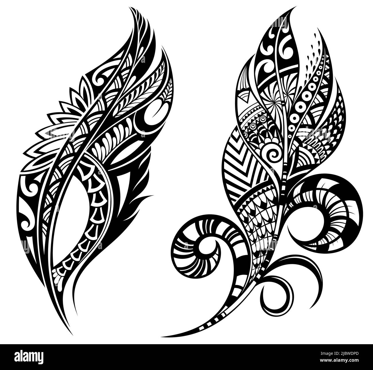 Set of Various Feather Illustration Design, Black Feather Silhouette