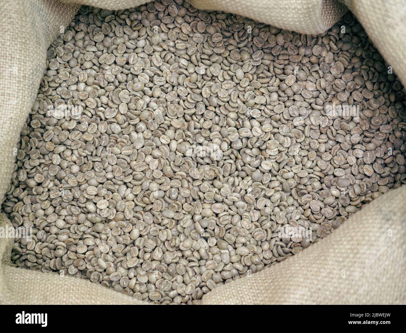 raw green coffee beans from bio ethical agriculture in costa rica Stock