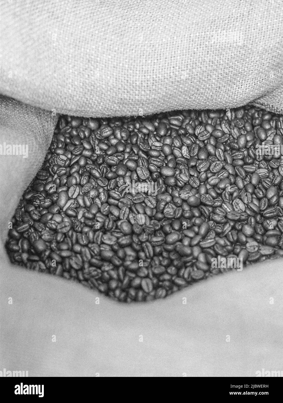 brown roasted coffee beans macro closeup Stock Photo