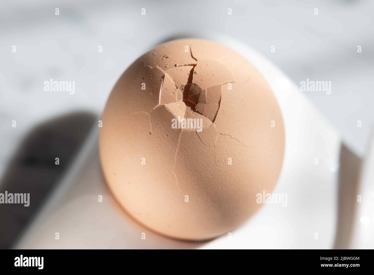 Boiled breakfast egg in an egg cup. Stock Photo