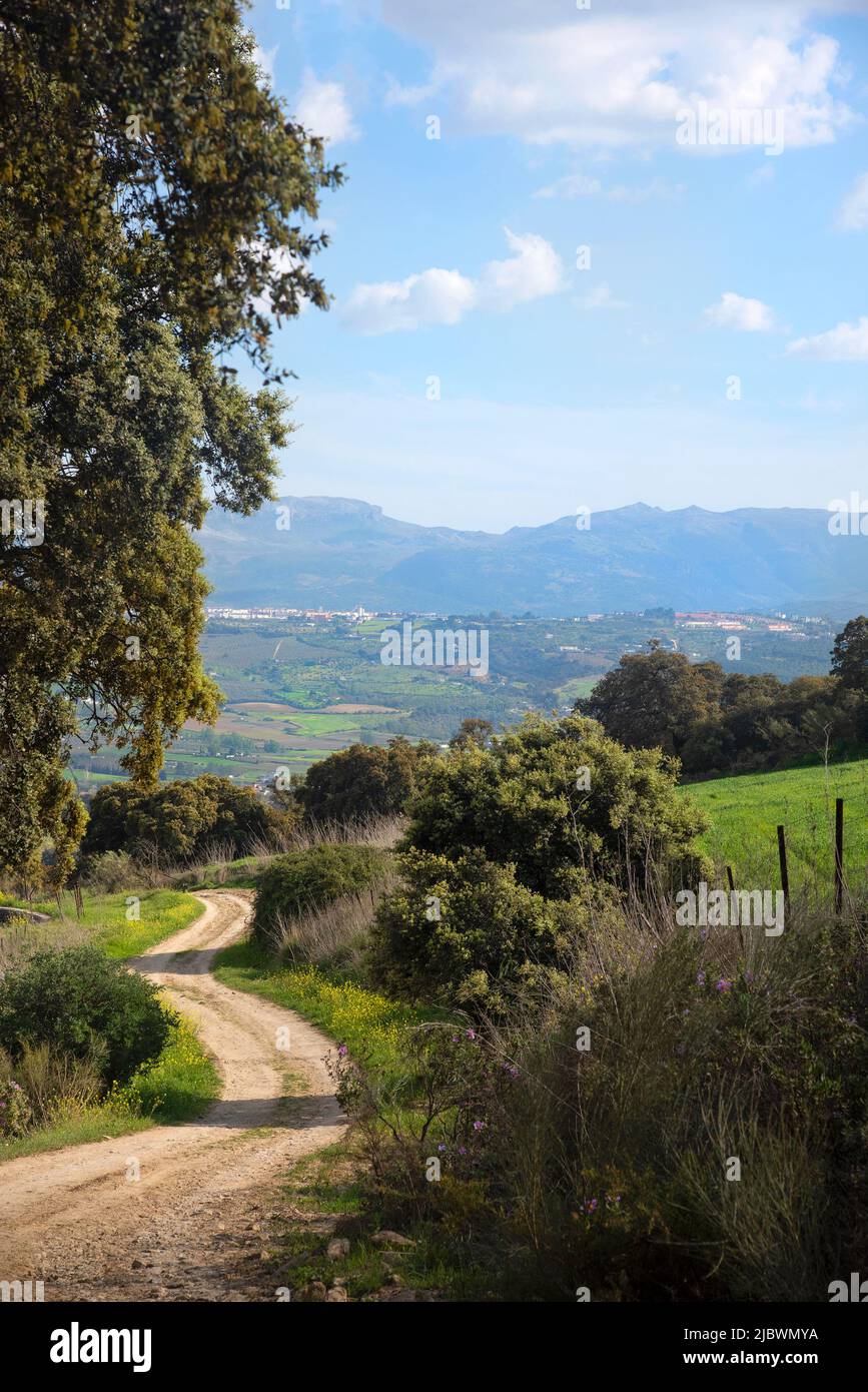 Country road in Arriate with views over the mountains of Serrania de Ronda in Andalusia Spain Stock Photo