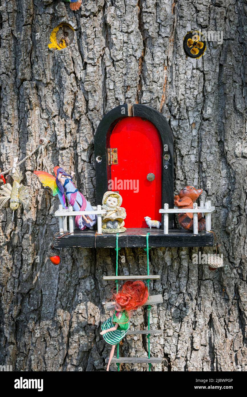 Fairy door on tree. Stock Photo
