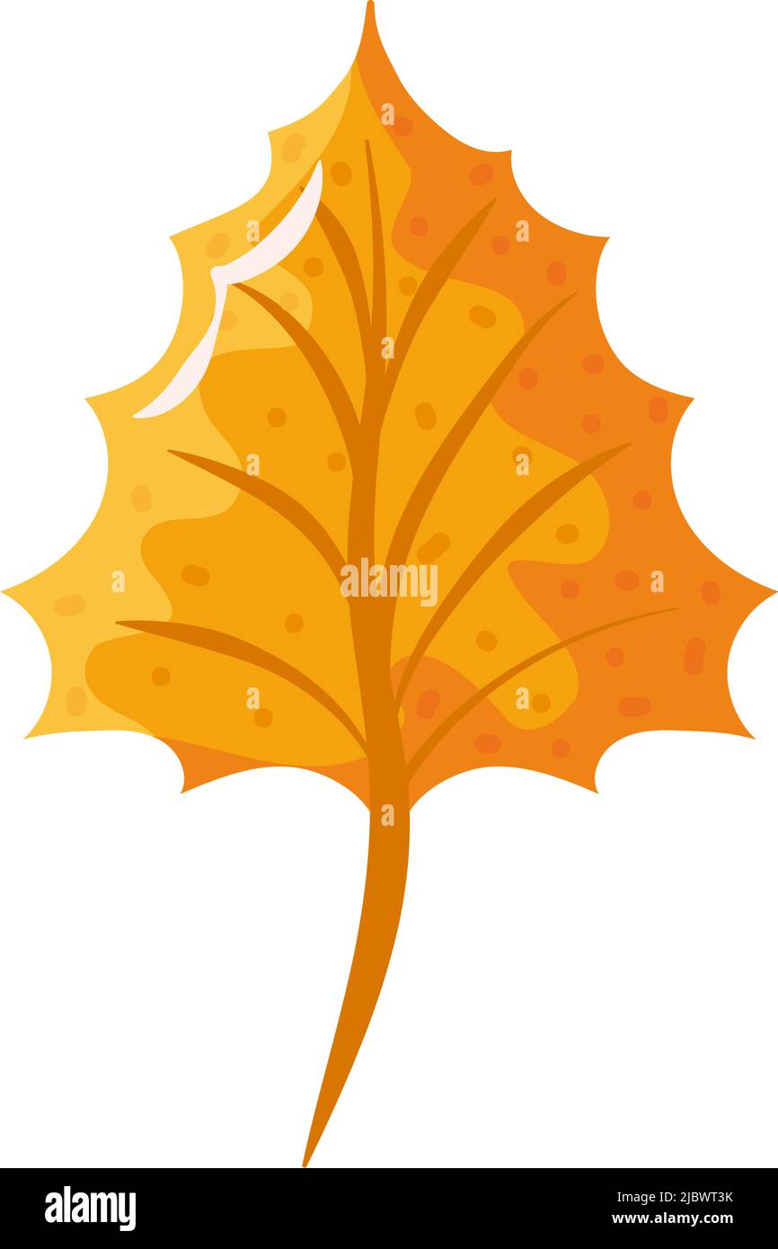 autumn leaf isolated Stock Vector Image & Art - Alamy